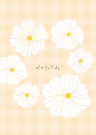 6 white flowers check15