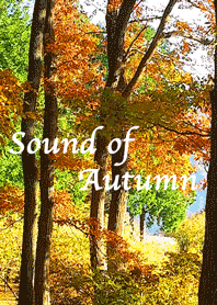 Sound of Autumn