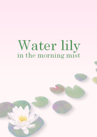 Water lily in the morning mist