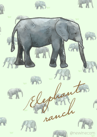 Elephant ranch
