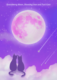 Strawberry Moon, Shooting Star and Cats