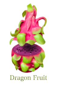 Tropical Dragon Fruit 15