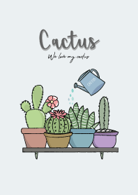 แคคตัส (Cactus & Succulent)