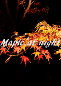 夜のもみじ