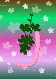 ~cherry blossoms initial J~