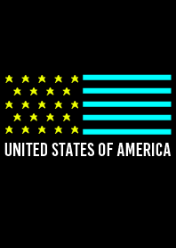 アメリカ スタイル 3