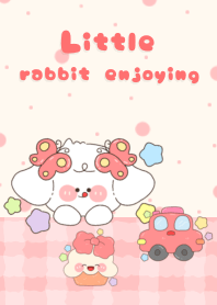 Little rabbit enjoying1