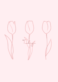 Simple Tulip -  pale pink