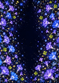 Morning Glory Starry Night