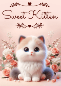 Sweet Kitten No.317