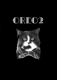 メインクーンのオレオ２＠ペットグランプリ