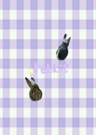 Pastel rabbit.