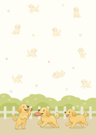 Golden Retriever playing in the garden.1