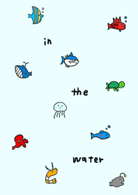in the water.