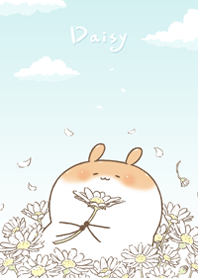 Chubby Rabbit-Daisy