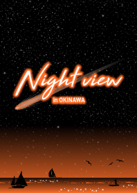 Night view in OKINAWA