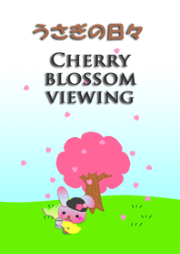 Rabbit daily<Cherry blossom viewing>