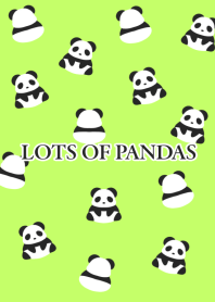 LOTS OF PANDAS-NEON YELLOW GREEN-BLACK