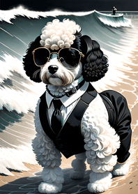 Maltipoo Tinta5