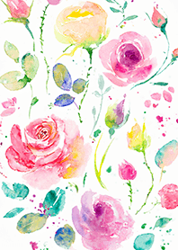 Beautiful rose flower(R4311)