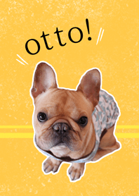 otto!