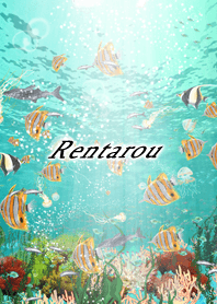 Rentarou Coral & tropical fish2