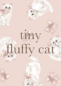 tiny fluffy cat