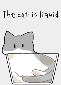 The cat is liquid [white x gray]