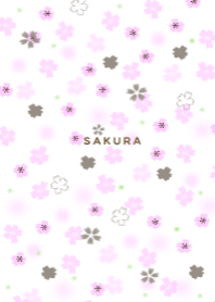 Sakura/Cherry blossom