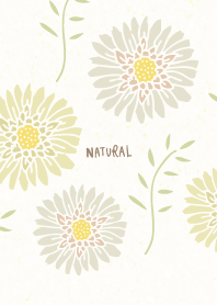 Adult color flowers leaves29 from Japan