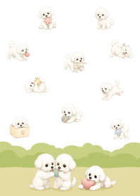 可愛快樂比熊犬-白10