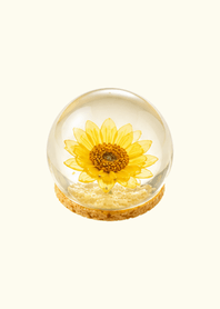 "Summer" Sunflower Sweets3