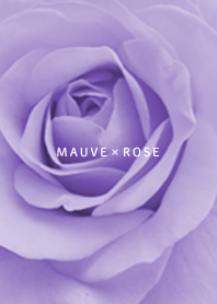 Simple Mauve Purple18_2