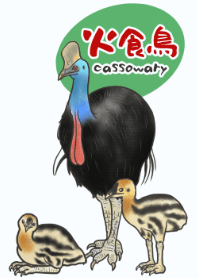 火食鳥・ヒクイドリ