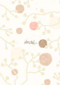 winter branch25 from Japan