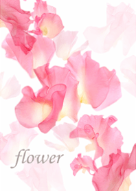 Sweet pea, full of clarity.1.