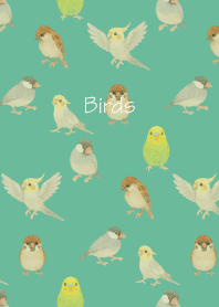 Birds3 on blue green