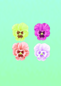 Cute pansy flower garden