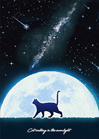Cat walking in the moonlight 4
