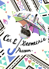 -Cat & geometric pattern-
