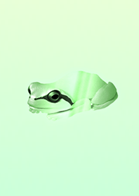 Grateful green frog