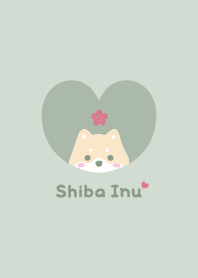 Shiba Inu2 Cherry blossoms - green