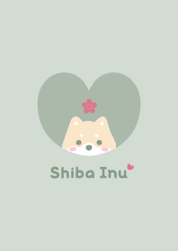 Shiba Inu2 Cherry blossoms / green