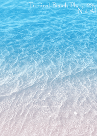 TropicalBeach Photo 234 Not AI