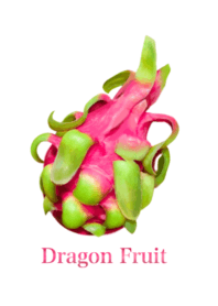 Tropical Dragon Fruit