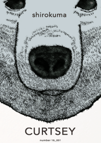 CURTSEY : polar bear