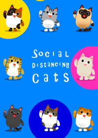 Trippo (Social Distancing Cats)
