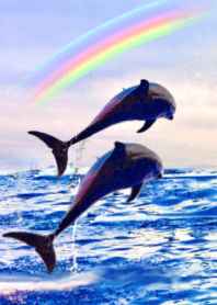 lucky rainbow dolphins