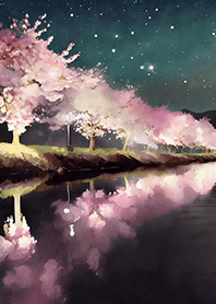 Beautiful night cherry blossoms#1850