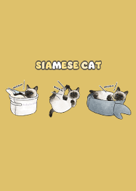 siamesecats5 / mustard
